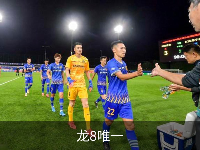 龙8唯一介绍